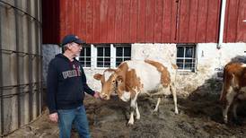 ‘This is the answer to climate change’: How regenerative agriculture is restoring public land