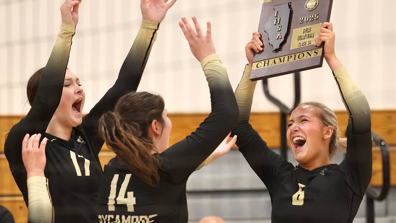 Photos: Sycamore, Dixon volleyball vie for Class 3A Rochelle Regional championship