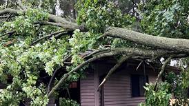 Storms hit parts of McHenry County Wednesday