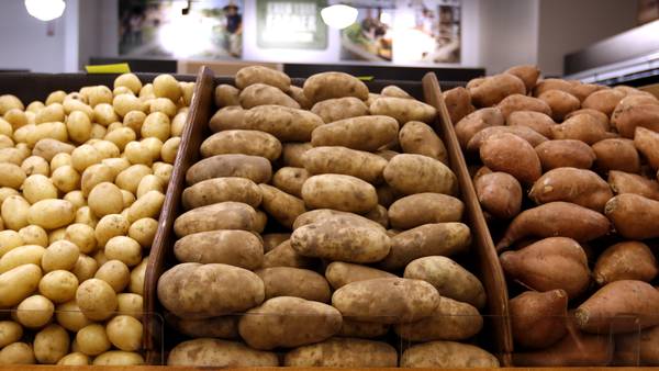 Woodstock’s Food Shed launches capital campaign amid money struggles