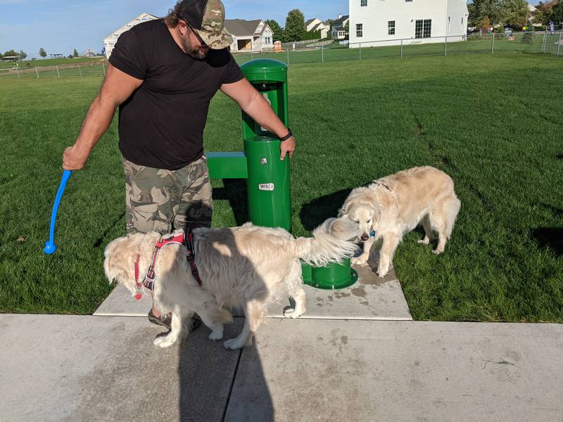 Jeff Moravik’s two English Cream Golden Retrievers – Smokey and Bandit – worked up quite the thirst after running around the newly opened Troeger Dog Park in Sandwich.
Troeger Dog Park is the Sandwich Park District’s first dog park. They were among those at the park on Oct. 5 as part of a grand opening and ribbon cutting ceremony.
