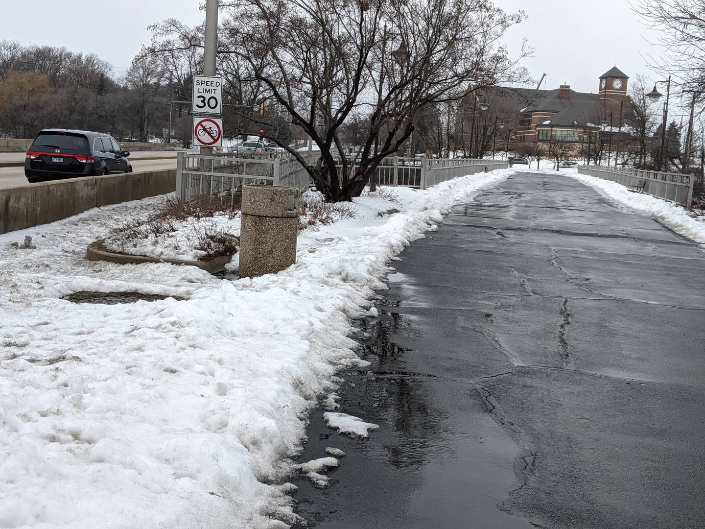 The pedestrian bridge that serves a gateway to downtown Oswego is in need of replacement.