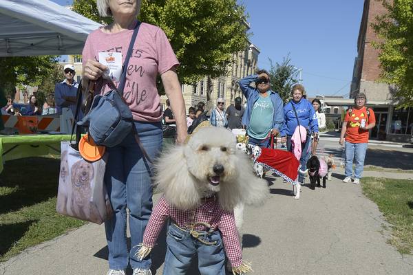 Bill’s Barktoberfest returns to Ottawa on Saturday