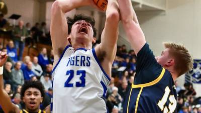 Photos: Sterling at Princeton boys basketball