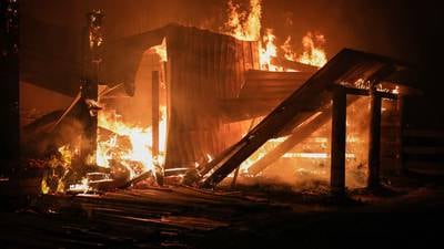 6 horses die in overnight barn fire near Harvard