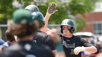 2025 Daily Journal All-Area Baseball Team