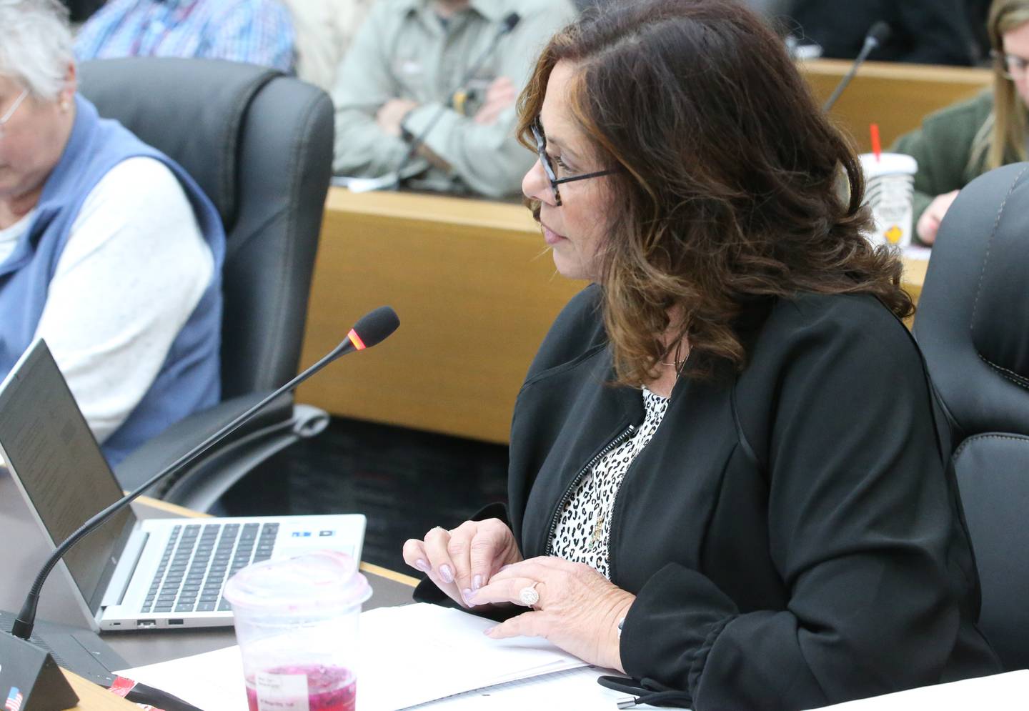 La Salle County Board member Tina Busch, R-Tonica, speaks Thursday, Feb. 8, 2024, before voting on a resolution to declare La Salle County as a non-sanctuary county regarding migrants.