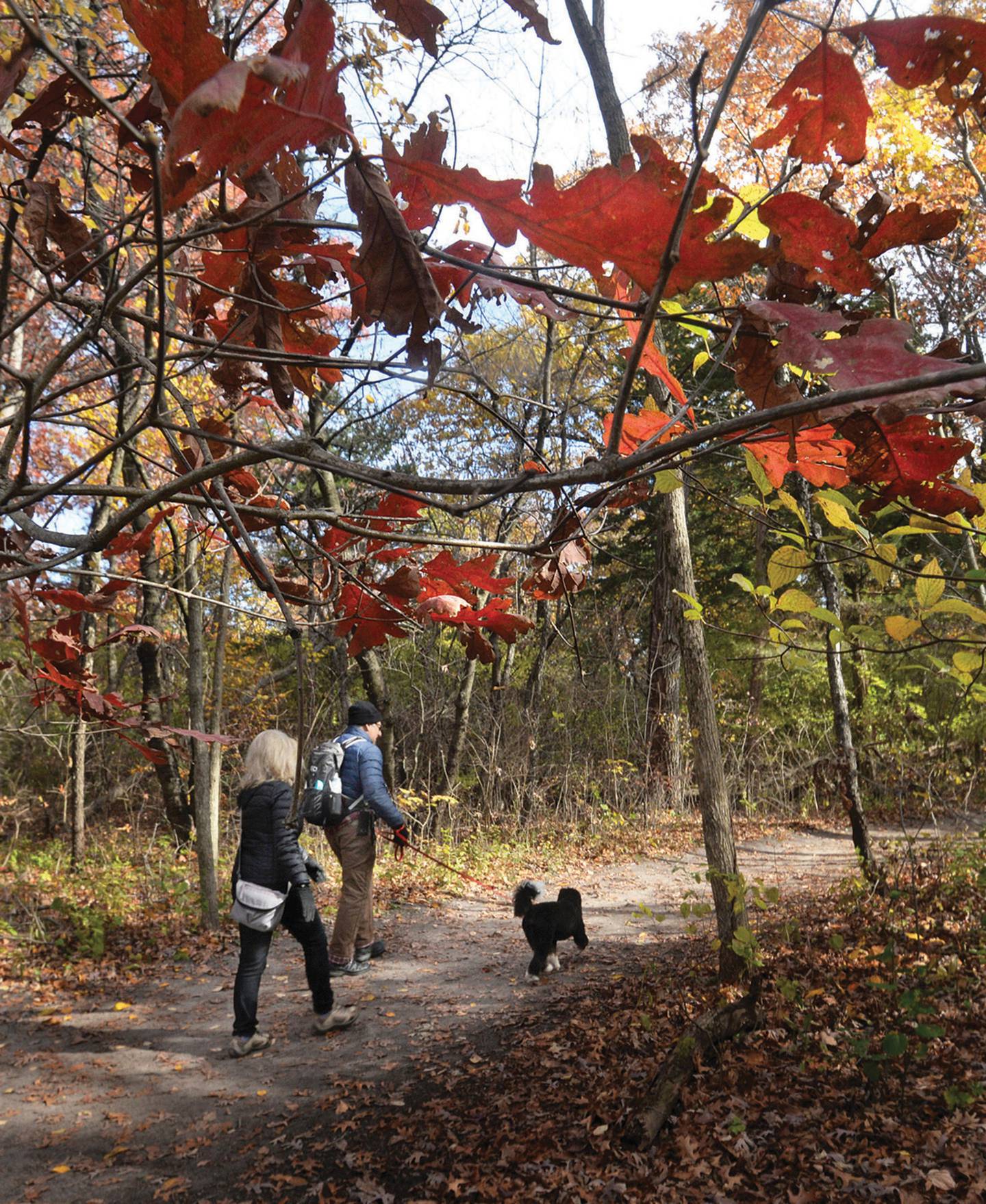 Hikers explore a trail at Starved Rock State Park in October 2020.