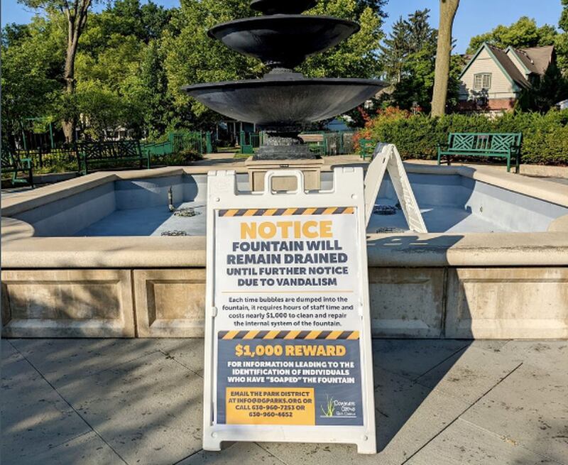 Security camera footage helped identify the individuals who allegedly soaped the fountain at Washington Park in Downers Grove. (Courtesy Downers Grove Park District)