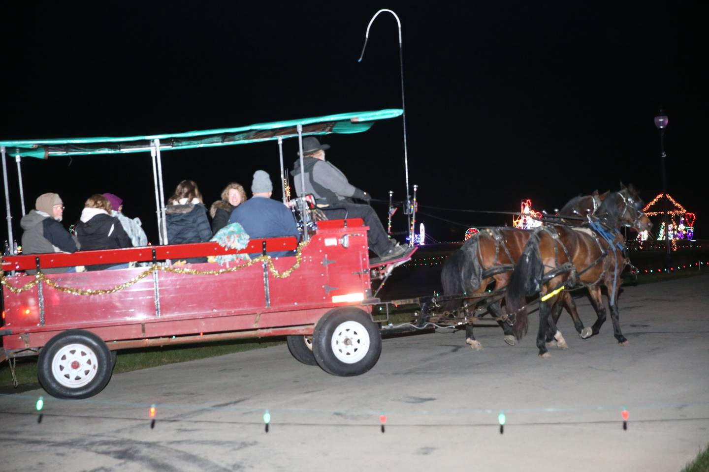 Tony Troyer guides a team of horses through the Christmas lights on Tuesday, Nov. 26, 2024 at Rotary Park in La Salle. The Arabian Carriage rides will be on Tuesdays and Thursdays through December 12. Cost is $25 per person.