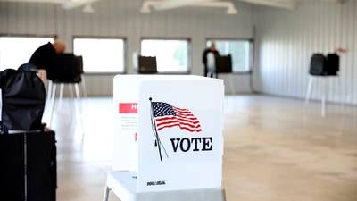 DuPage County Board primaries are mostly on the Democratic side