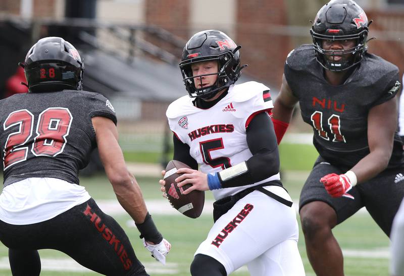 Northern Illinois quarterback Justin Lynch tries to escape the pocket as he is pressured by defensive end Nevaeh Sanders (left) and defensive tackle Jalonnie Williams during the NIU football Spring Showcase Saturday, April 22, 2023, at Huskie Stadium at NIU in DeKalb.