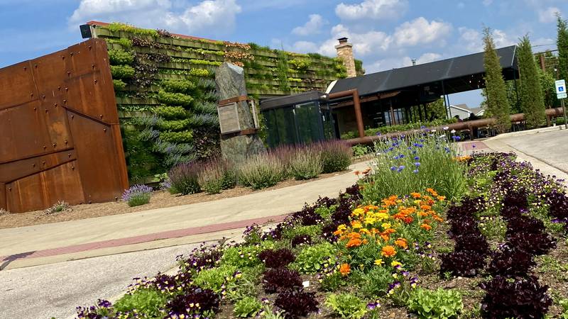 Local flavor blooms at farm-to-table restaurants in northern Illinois