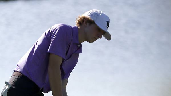 Hampshire’s Nolan Adamczyk places top 10 in first and last state tourney: Northwest Herald state golf roundup