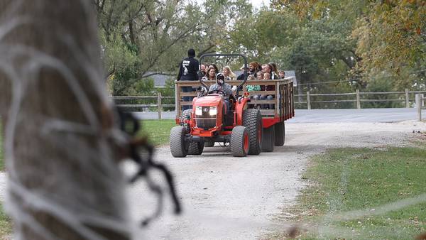 5 Things to Do in Will County: Plenty of Halloween fun this weekend!
