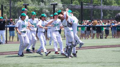 Photos: York vs. Batavia in Class 4A baseball sectional final