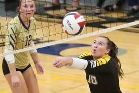 2025 NewsTribune Volleyball All-Area Team