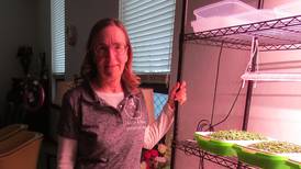 Ashton’s Mills & Petrie Memorial Library centered on community