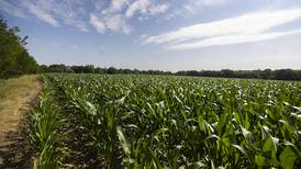 Still no drought, but the Illinois Valley was dry in June