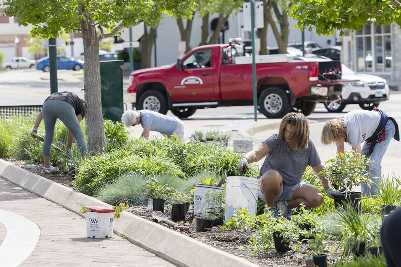 Beautify Dixon is spearheading the garden renovation Wednesday, May 8, 2024 with members from the Rock River Garden Club and Dixon in Bloom.