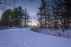 Explore preserves after dark on illuminated trails 