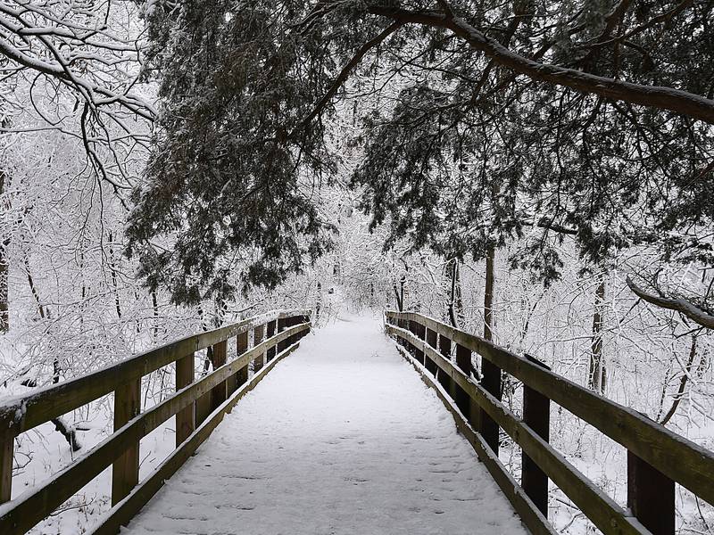 Beat the seasonal blues