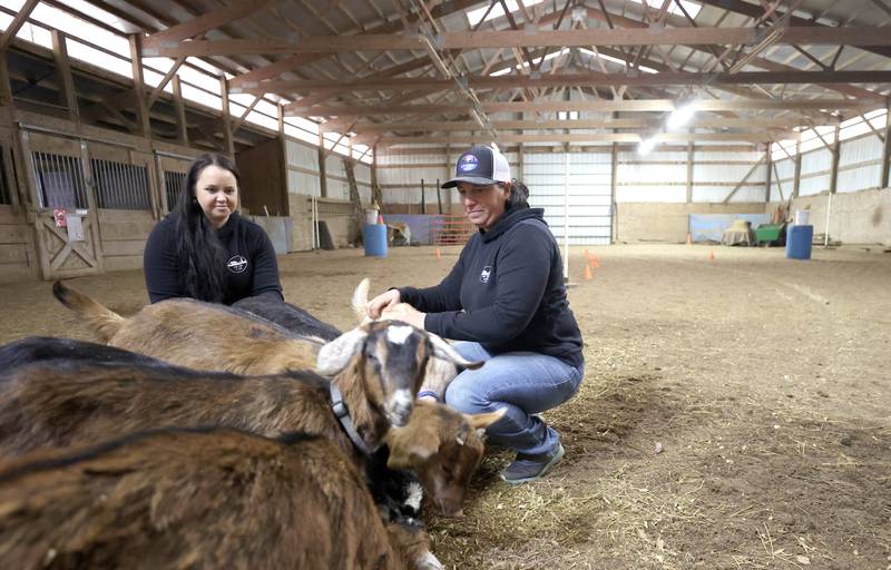 Didi Dowling, owner and executive director of Live, Learn and Lead, (right) and Cathy Best, executive director of programs, pet some of the goats Friday, March 31, 2023, at their barn in Hampshire.