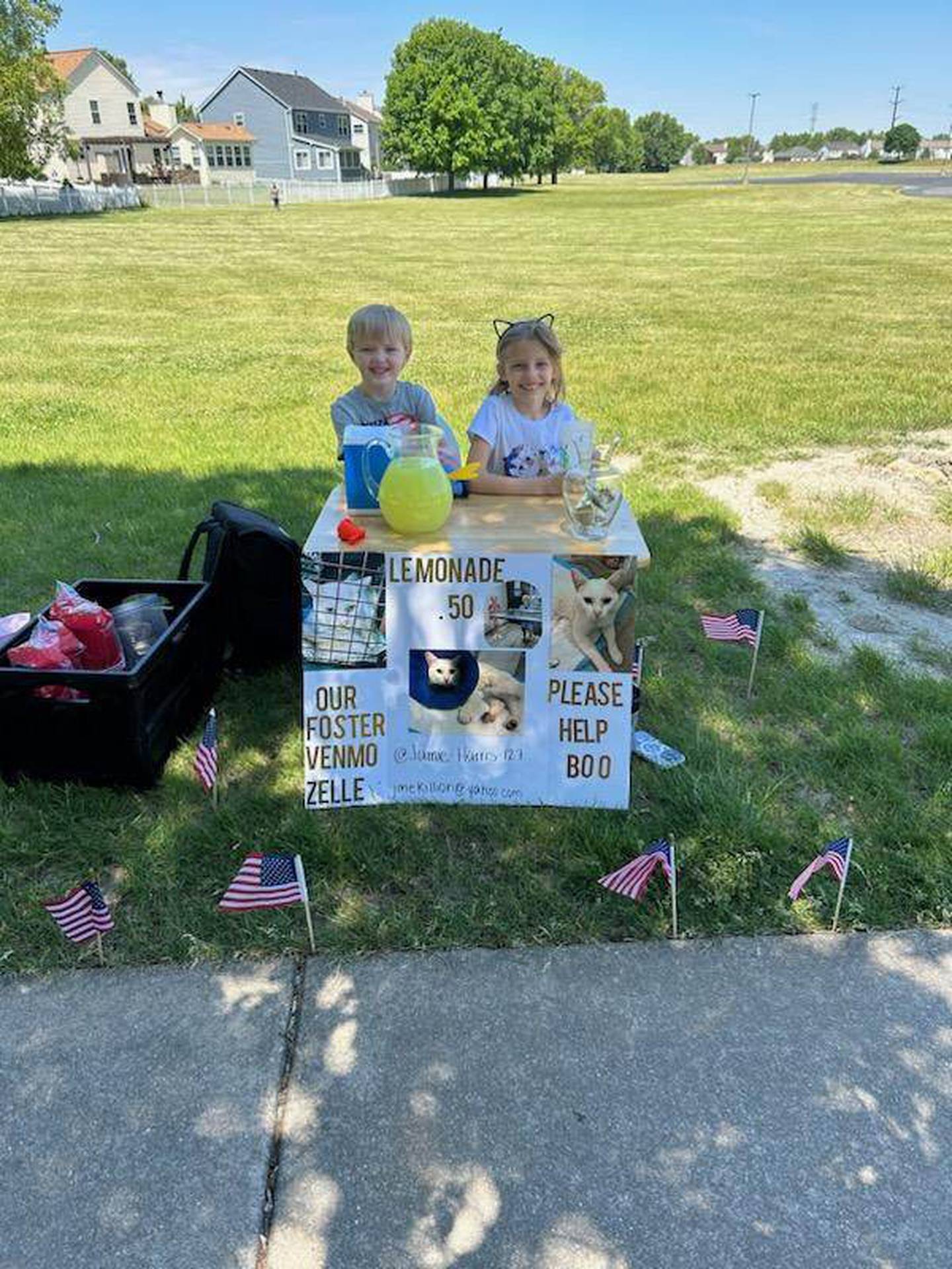 David and Jamie Harris of Plainfield took in a stray white cat who needed medical help. The children Lila, 8, (right) and Killian, 6, (left) held a lemonade stand on Memorial Day and raised $200 toward Boo's care.