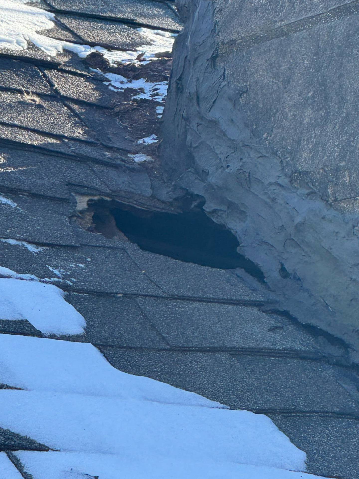 D&K Pest Control and Wildlife Removal in Naperville performed humane wildlife removal at Carleen Cook's Joliet home free of charge as part of the company's decision to occasionally help people unable to pay. D&K Pest Control and Wildlife Removal also patched several points of entry to prevent more wildlife from entering Cook's home. The company came out to Cook's home seven times between Feb. 27 to March 15, 2026.