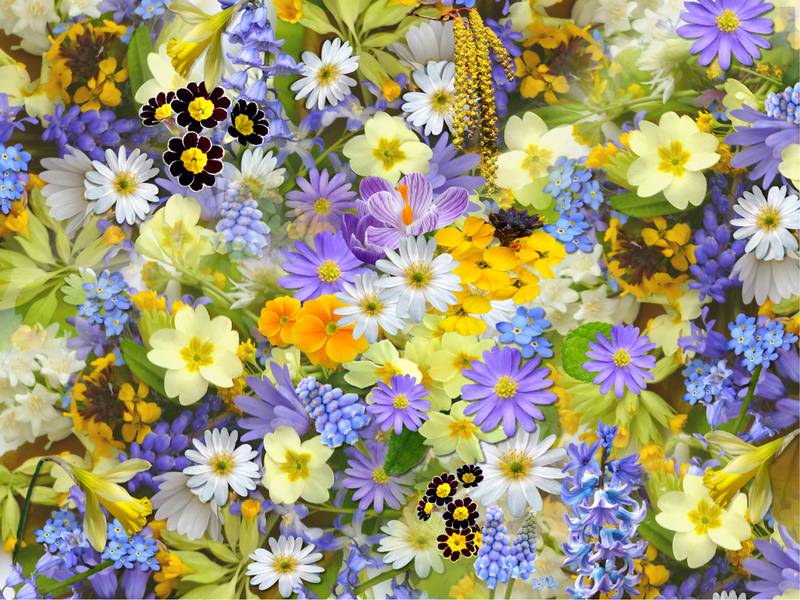 The Sauk Valley Home and Garden Show will be Saturday, March 12