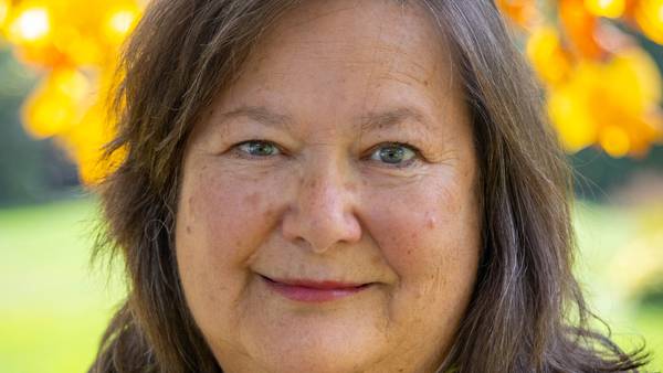 2026 Election Questionnaire: Sherry Newquist, Will County Board, District 3