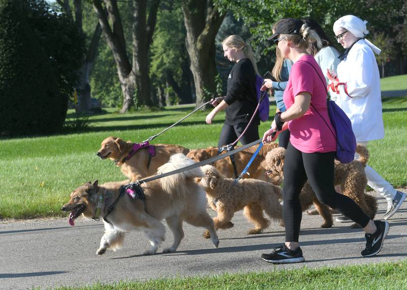 Eighty dogs and their owners took part in the Polo High School's Student Council's 2022 Doggy Dash. This year's event is Saturday, Oct. 14.