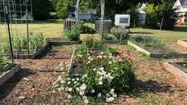 Malta Home Gardens to host public tours in support of growing efforts