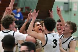 Photos: Sycamore beats Woodstock to claim Class 3A boys basketball regional championship