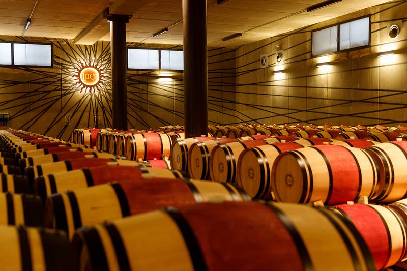 Italy's Tenuta Luce celebrates 30 years of excellence and innovation in winemaking.