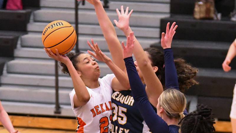 Girls basketball: 5 storylines to watch in DeKalb County for 2025-26
