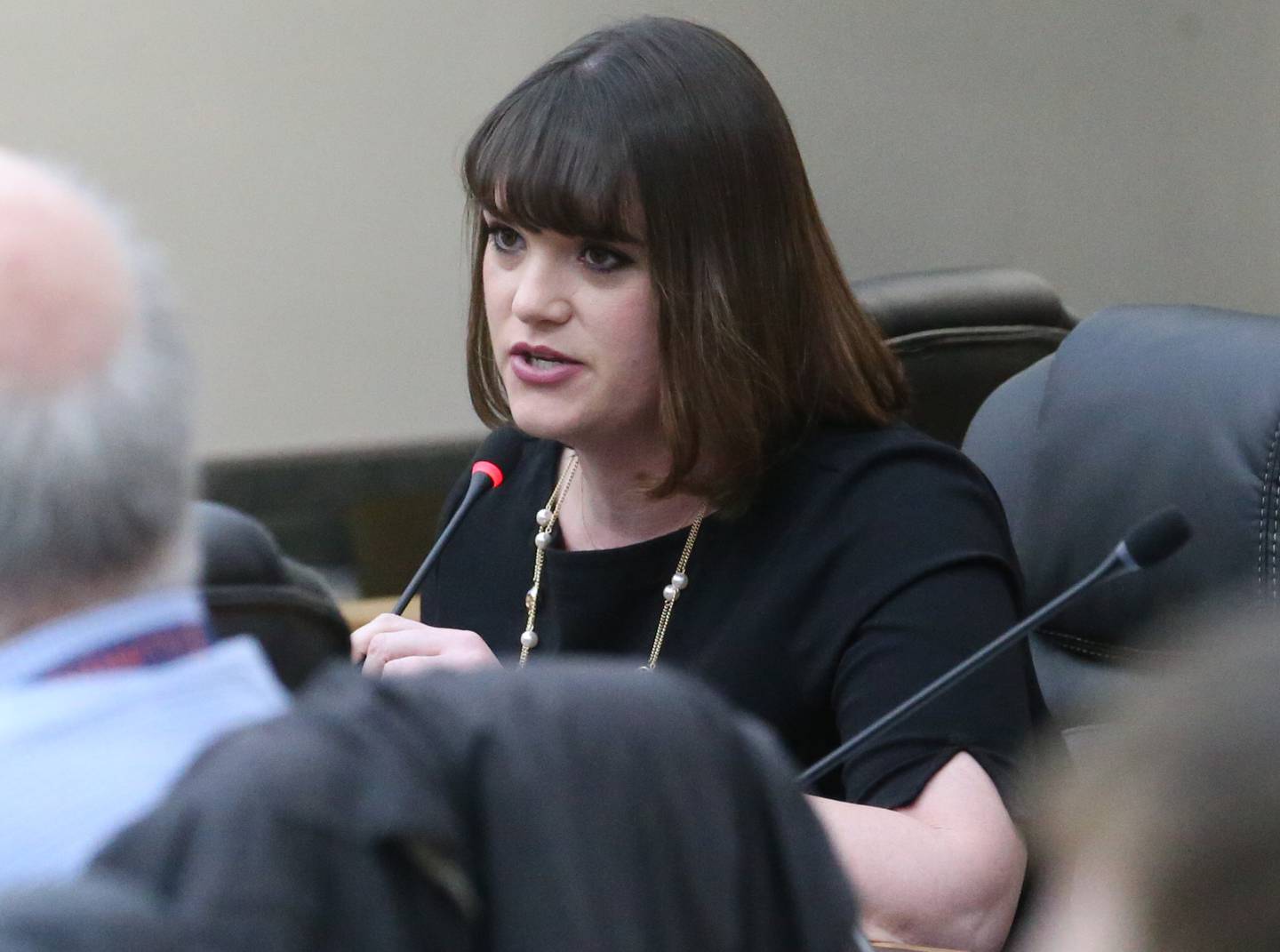 La Salle County Board member Beth Finley Smith, R-Somonauk, speaks Thursday, Feb. 8, 2024, before voting on a resolution to declare La Salle County as a non-sanctuary county regarding migrants.