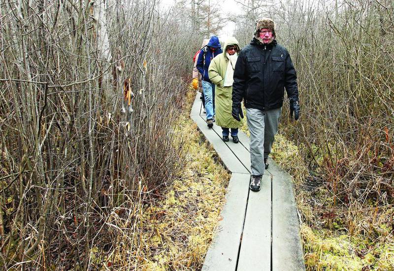 Volunteer guide John Fairgrieve of Hawthorn Woods leads a Bog Tour on the boardwalk Sunday, Jan. 14, 2018, during WinterFest at the Volo Bog State Natural Area in Ingleside.