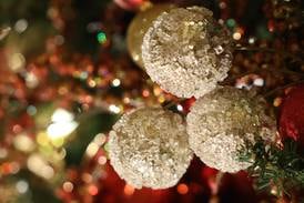 Peru Parkside School to host winter concerts