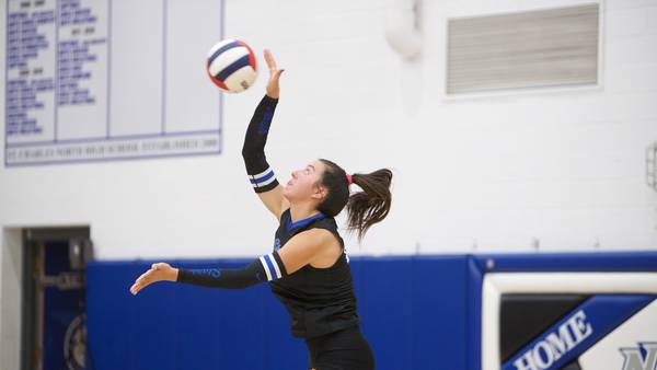 St. Charles North’s Haley Burgdorf is the Kane County Chronicle girls volleyball Player of the Year