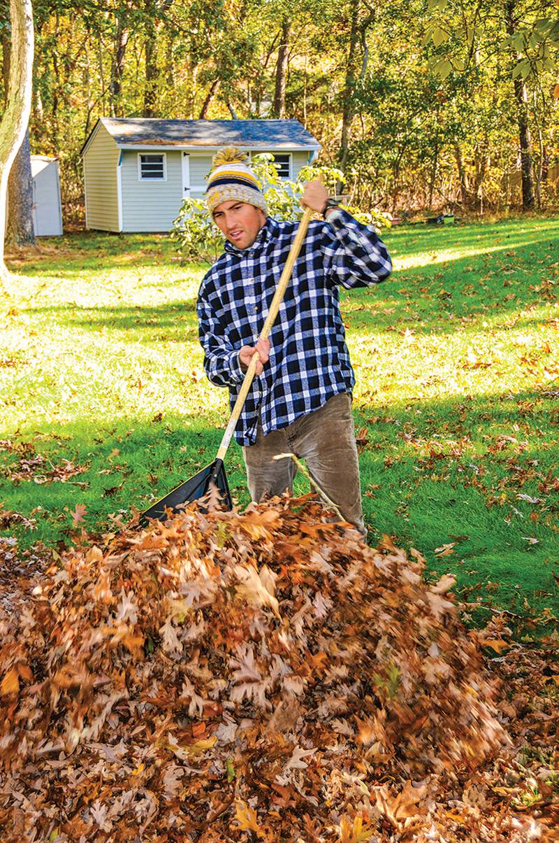 Ace Hardware of Dixon - Handy Tools for Fall Landscaping and Winter Prep