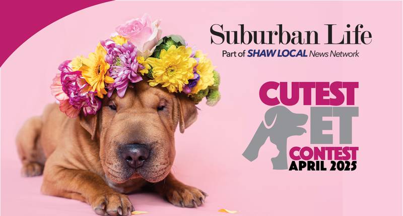 SLM April pet