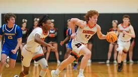 Dom Rome, Sandwich hold off late rally to beat Johnsburg