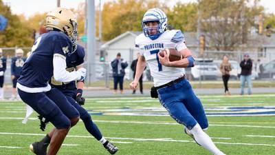 Bureau County area schools voice views on Proposal 19 for playoffs expansion 