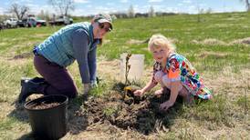 Let volunteerism bring you together