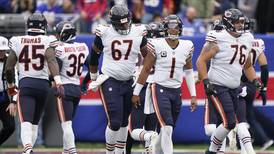 Bears are receiving Super Bowl betting interest, and we are just as confused as you are