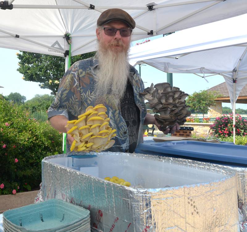 William Thomas of Amboy shows two of his gourmet mushrooms he had for sale at the Dixon City Market on Wednesday.