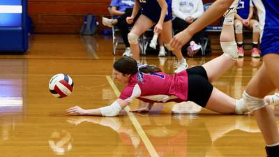 Photos: Mendota at Princeton volleyball