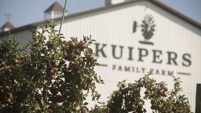 Kuipers Family Farm to debut inaugural Tulip Fest this spring
