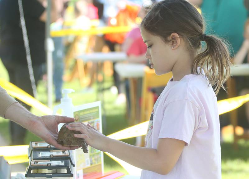 Audrena Tucker of Peru, pets a turtle during the 25th annual Kids Fishing Expo on Saturday, May 10, 2025 at Baker Lake in Peru.